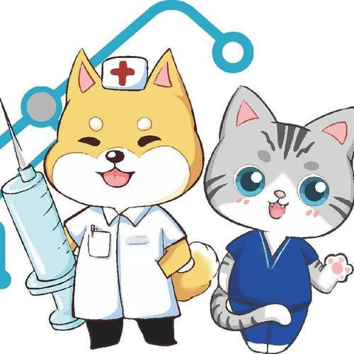 寵物洗牙全攻略詳解費用、風險與注意事項