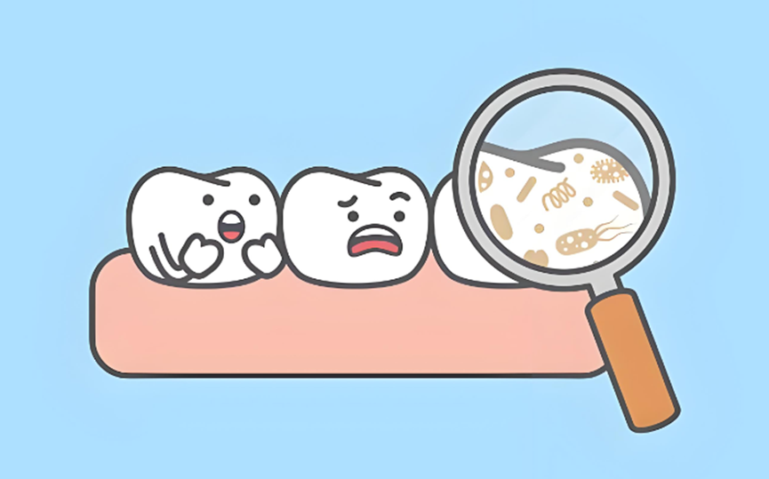 牙菌斑 