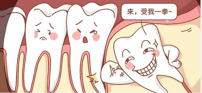 牙齒險承保範圍 牙齒險承保範圍